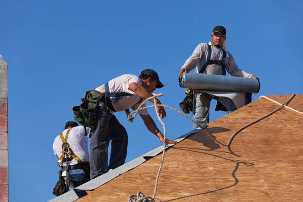 Best Best Roofing Contractors  in Hurley, MS