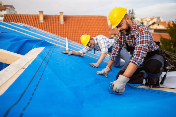 Roof Waterproofing Services in Hurley, MS