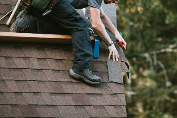 Professional Roofing Contractor in Hurley, MS